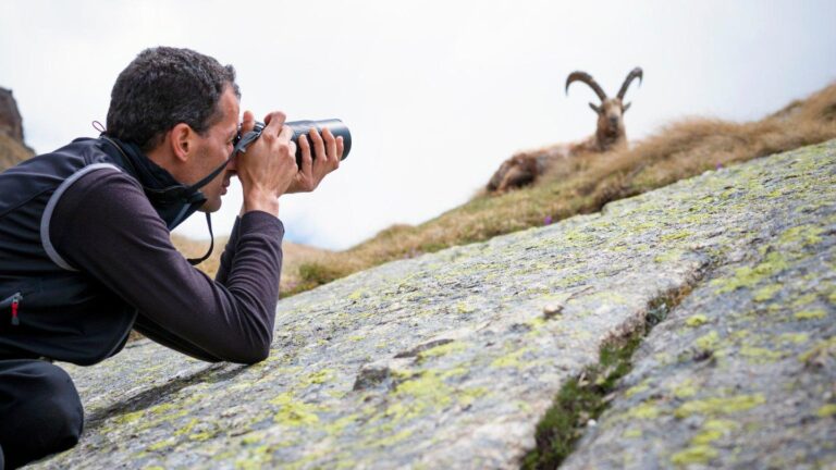 Lire la suite à propos de l’article Solutions photo et impression : équipez-vous pour capturer, créer et partager vos souvenirs
